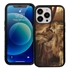 Famous Art Case for iPhone 13 Pro (Draper - Lament for Icarus) 
